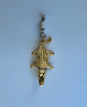 Crocodile charm